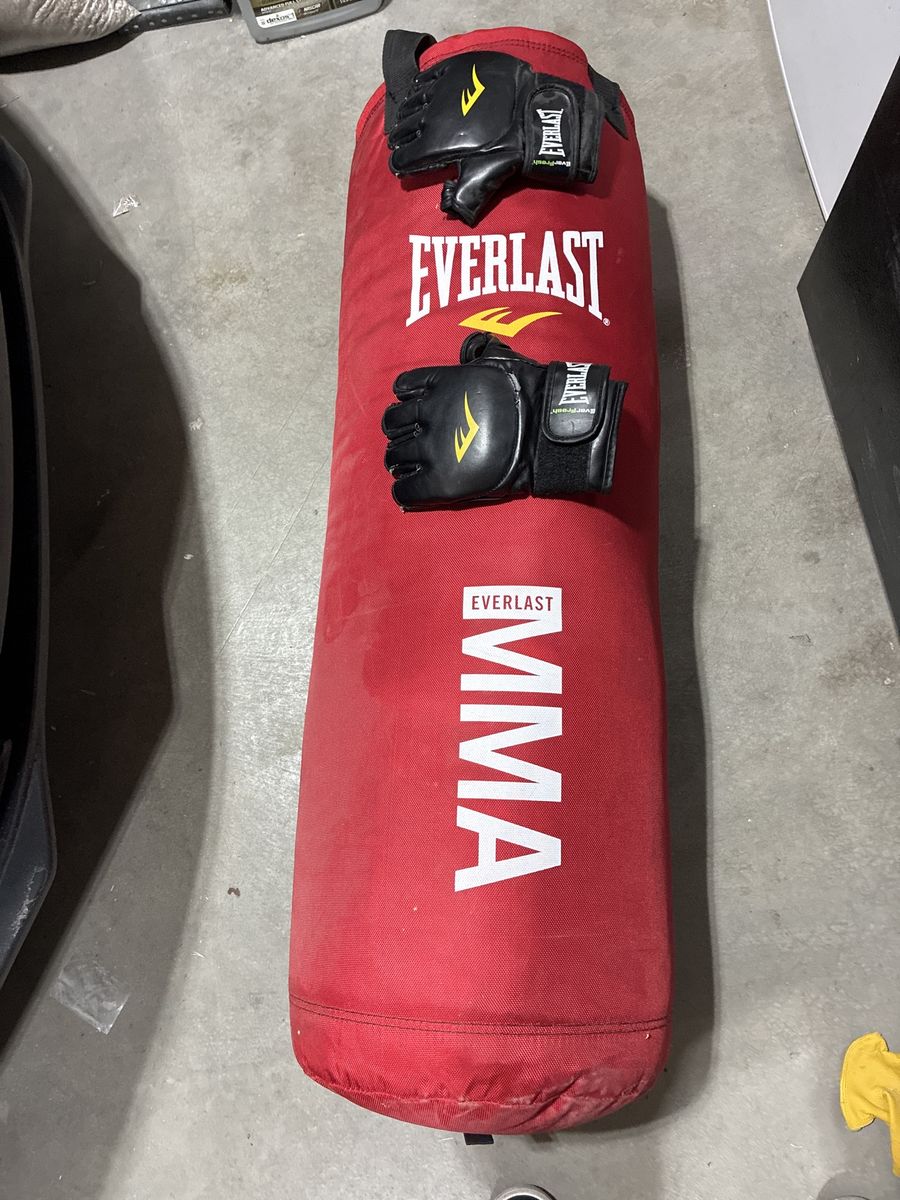 Everlast punching bag
