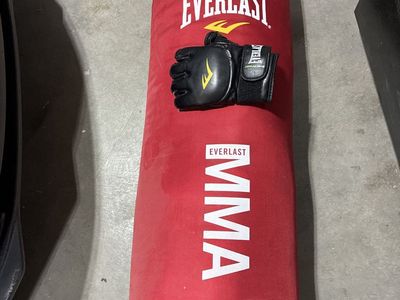 Everlast punching bag