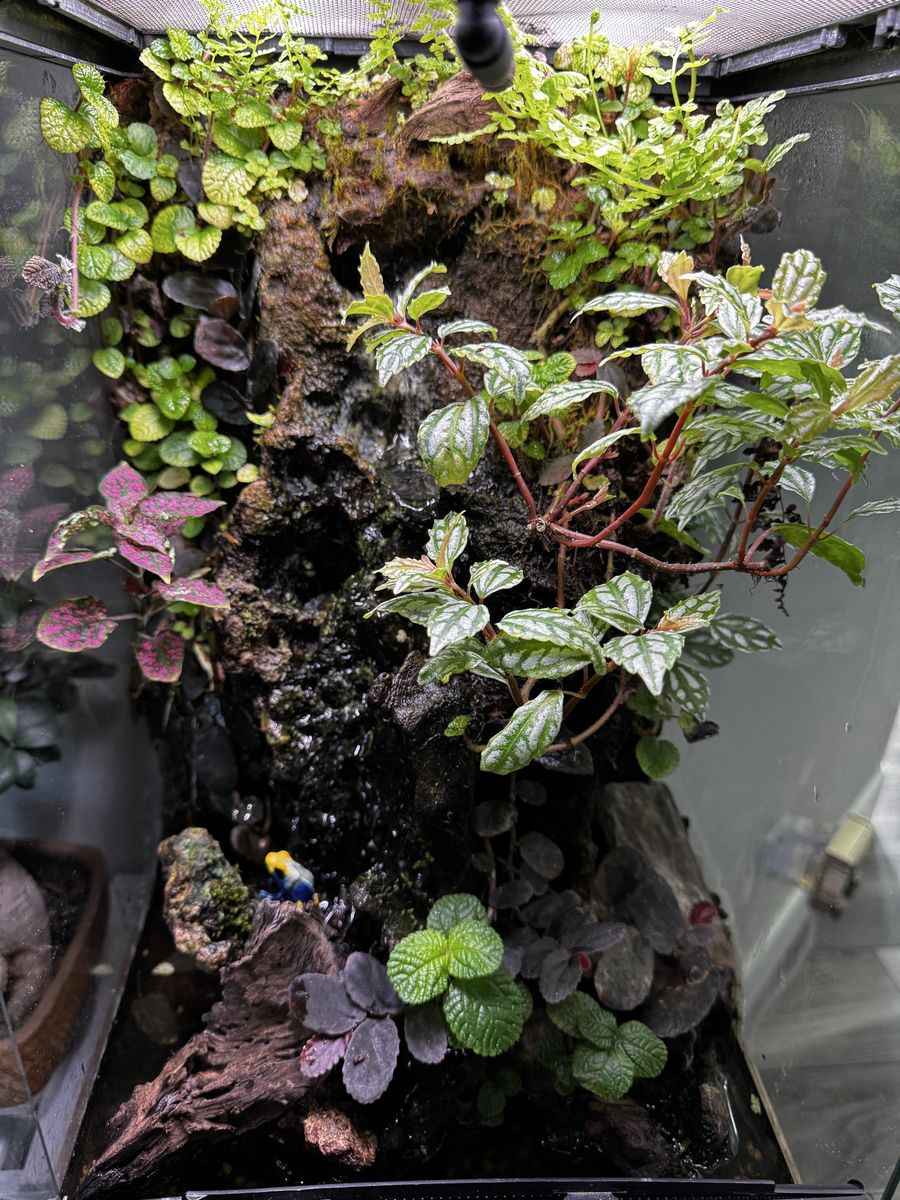 Main image 4