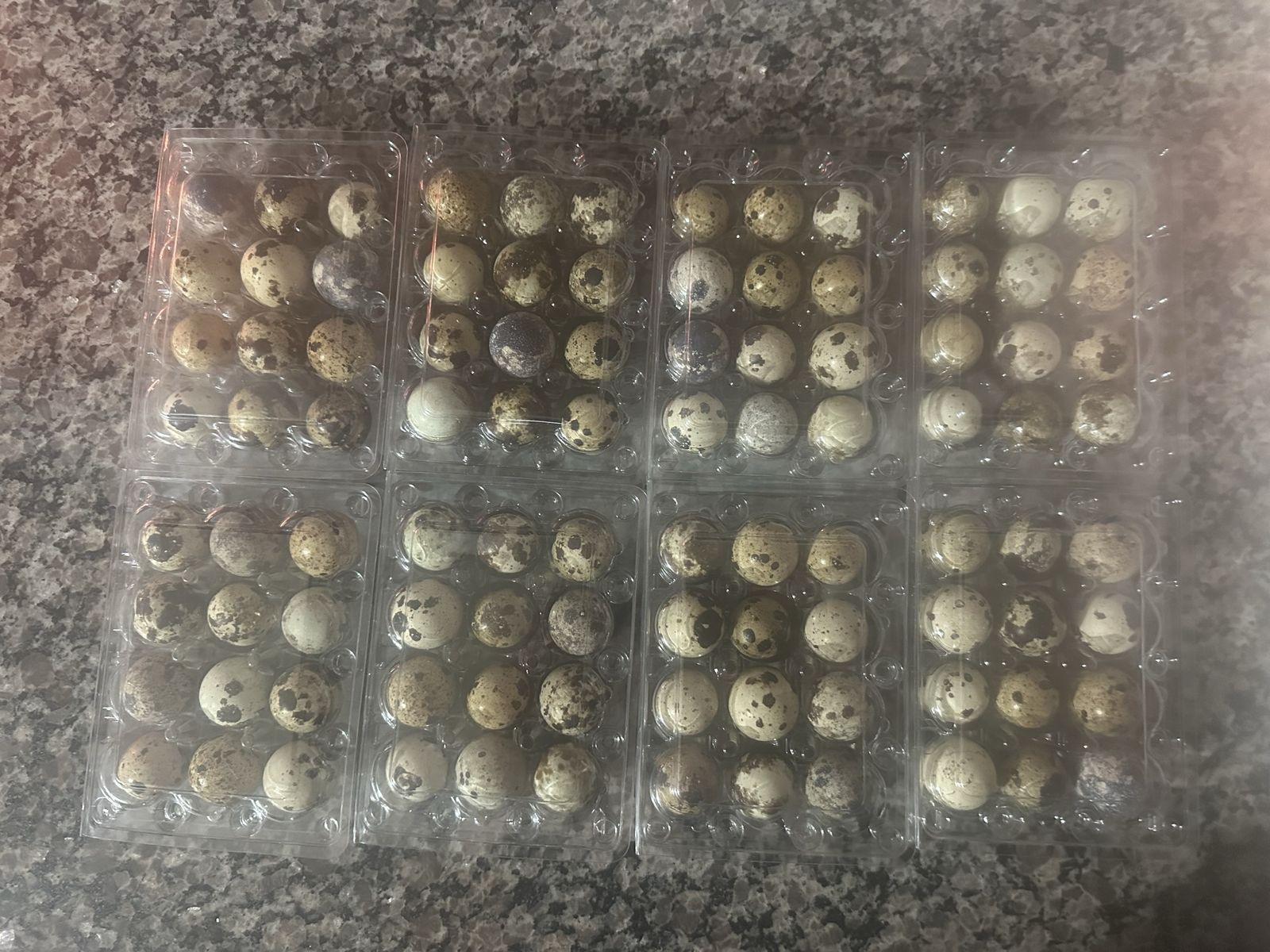 Quail eggs