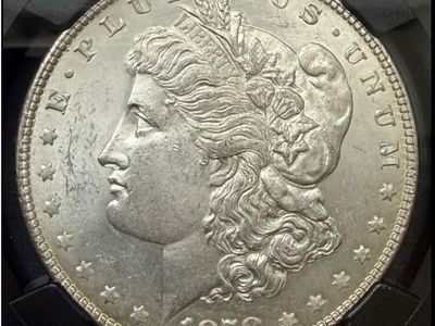 1878 p Morgan 7/8 TF strong, vam 38, NGC ms63
