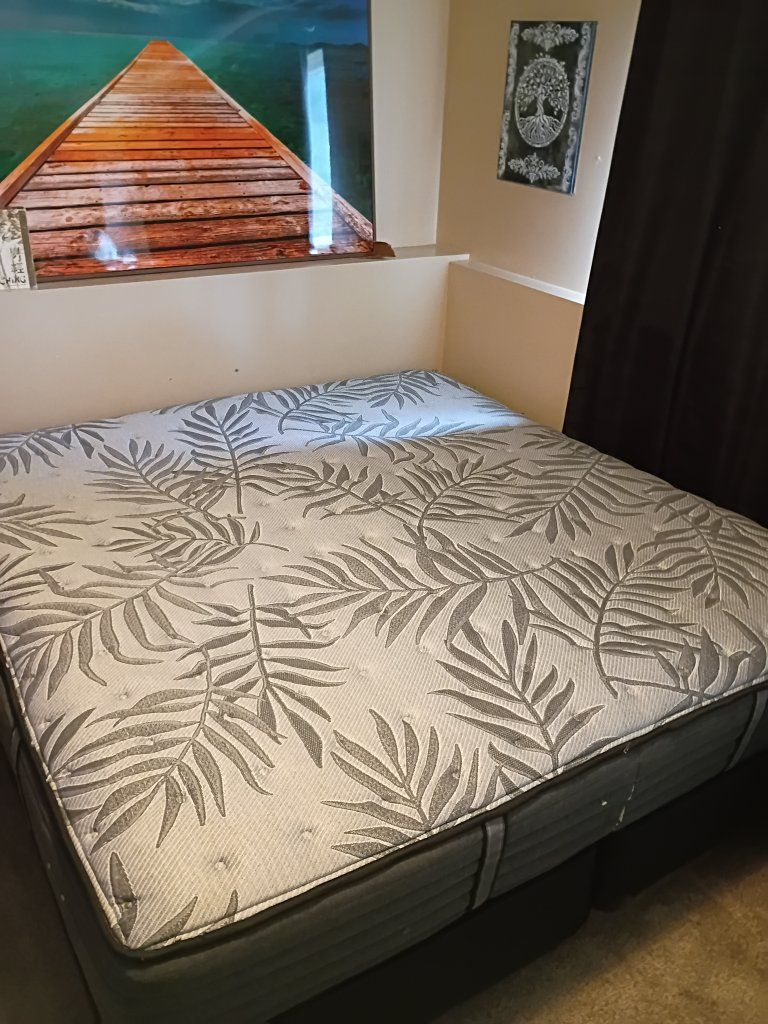 King Size Pillow Top Mattress and Box Spring Set with Palm Leaf Pattern