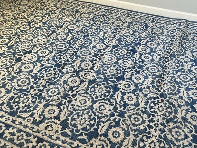 Blue and White Rug