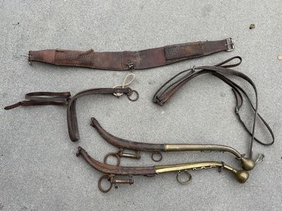 Antique horse tack, hames, harness, leather brass, equestrian