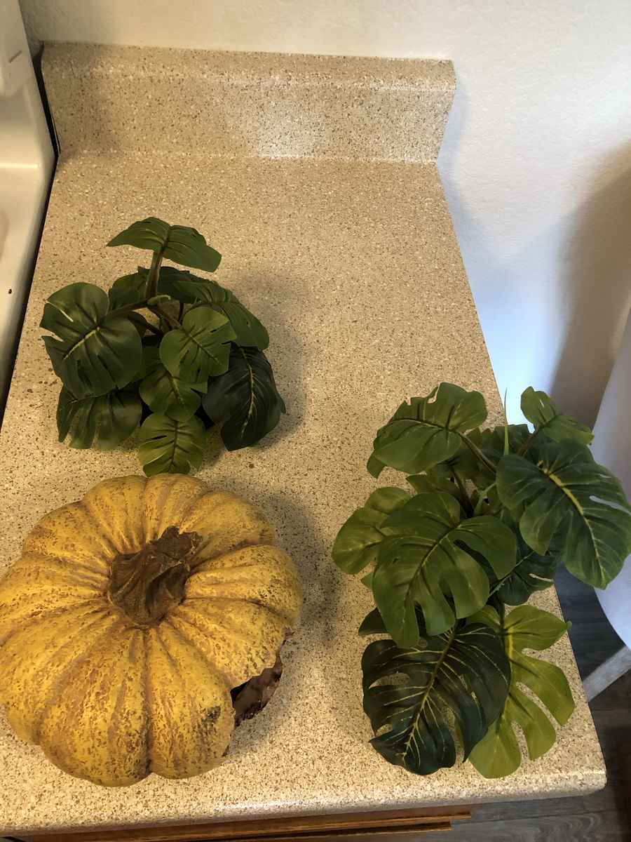 Decorative Pumpkin Hideout and Artificial Monstera Plants Set