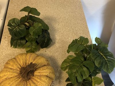 Decorative Pumpkin Hideout and Artificial Monstera Plants Set