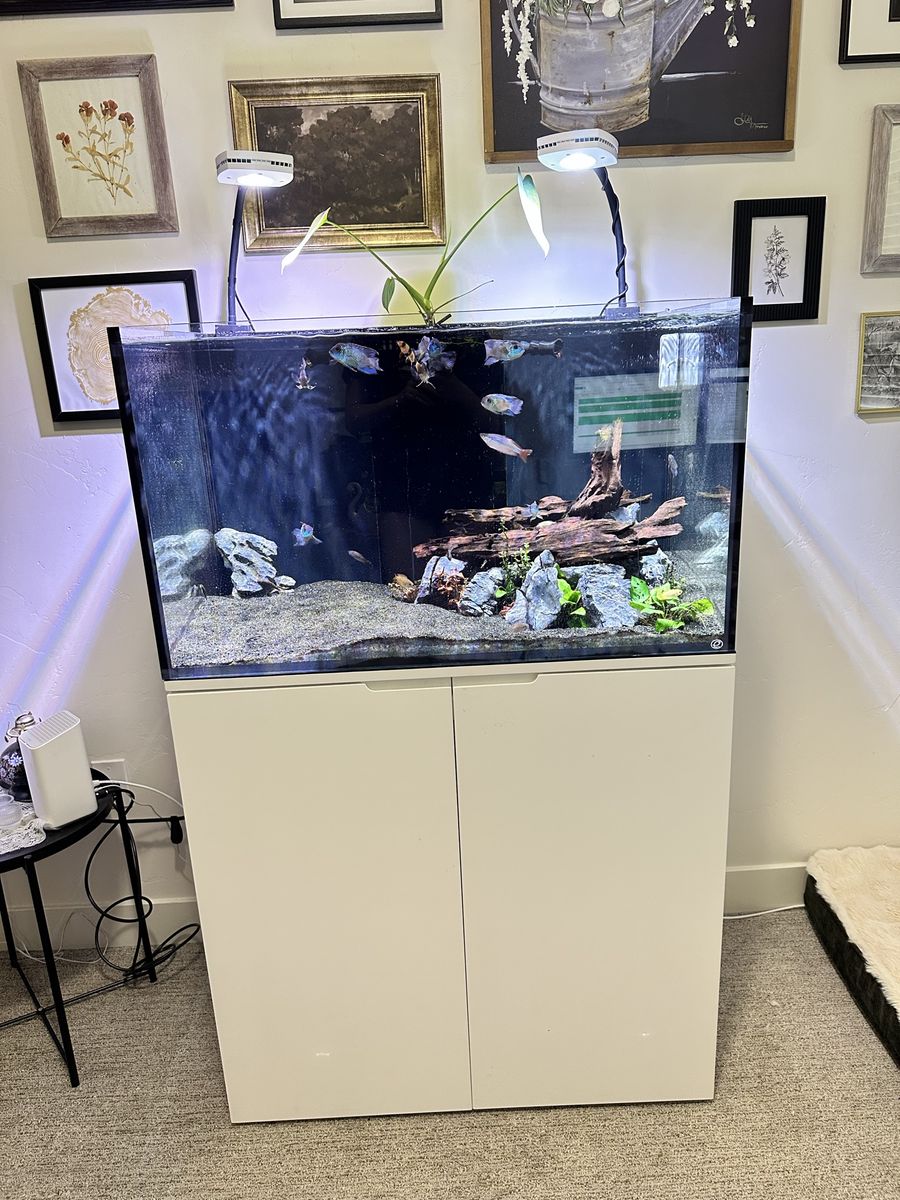 Rimless ESHOPPS 90 Gal Sump Aquarium w/ AI Prime Lights