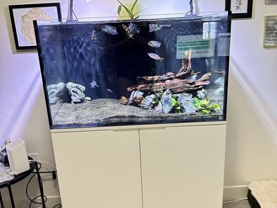 Rimless ESHOPPS 90 Gal Sump Aquarium w/ AI Prime Lights