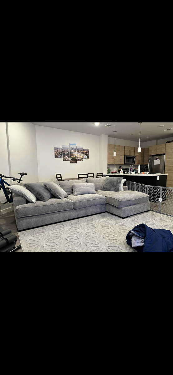 Grey barely used left facing chase sectional