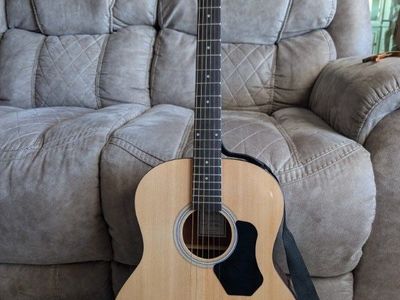 Walden D2040 Acoustic Guitar - Excellent Condition with Strap - Natural Finish