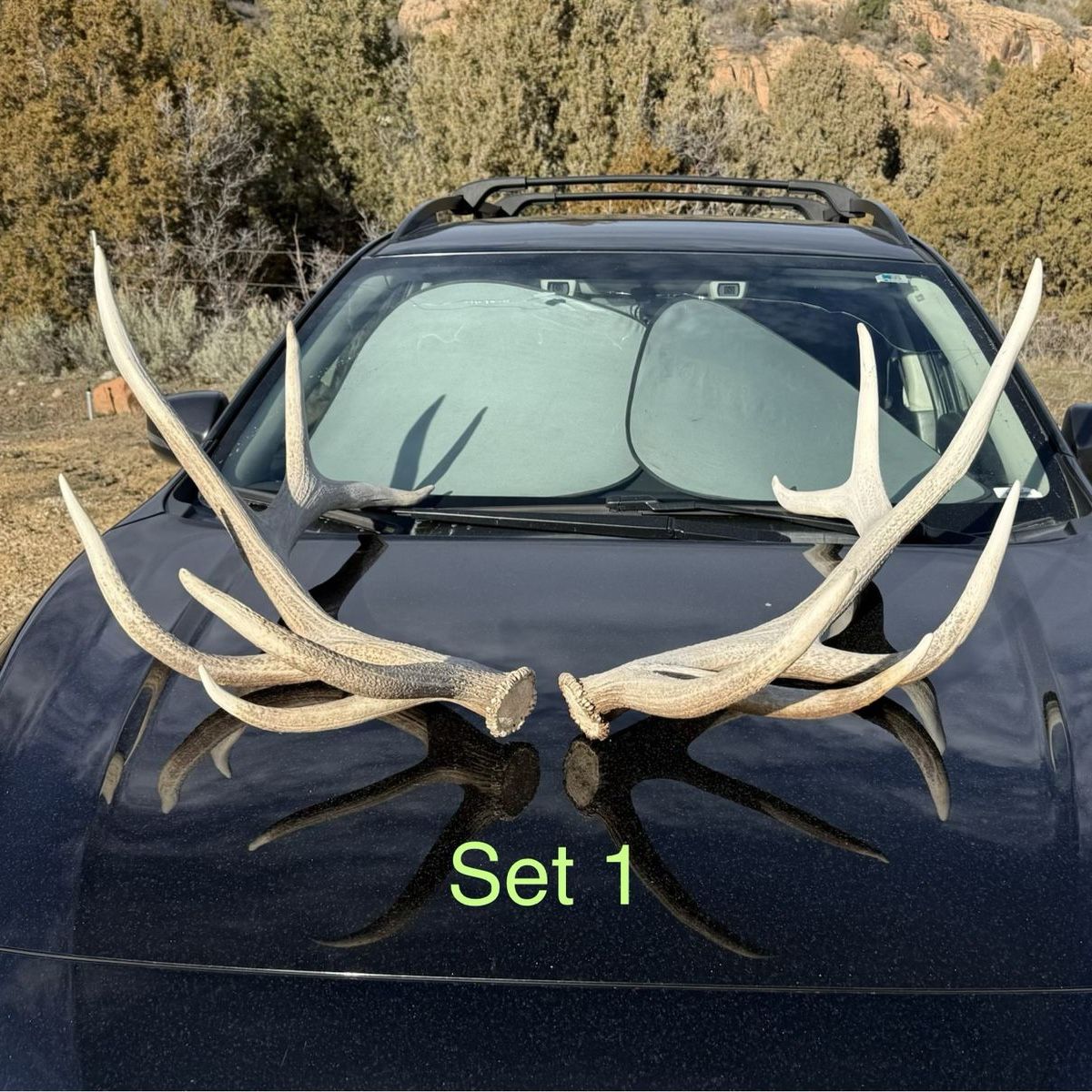 Natural Elk Antlers Sets - Rustic Decor or Craft Supply
