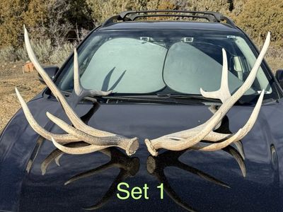Natural Elk Antlers Sets - Rustic Decor or Craft Supply