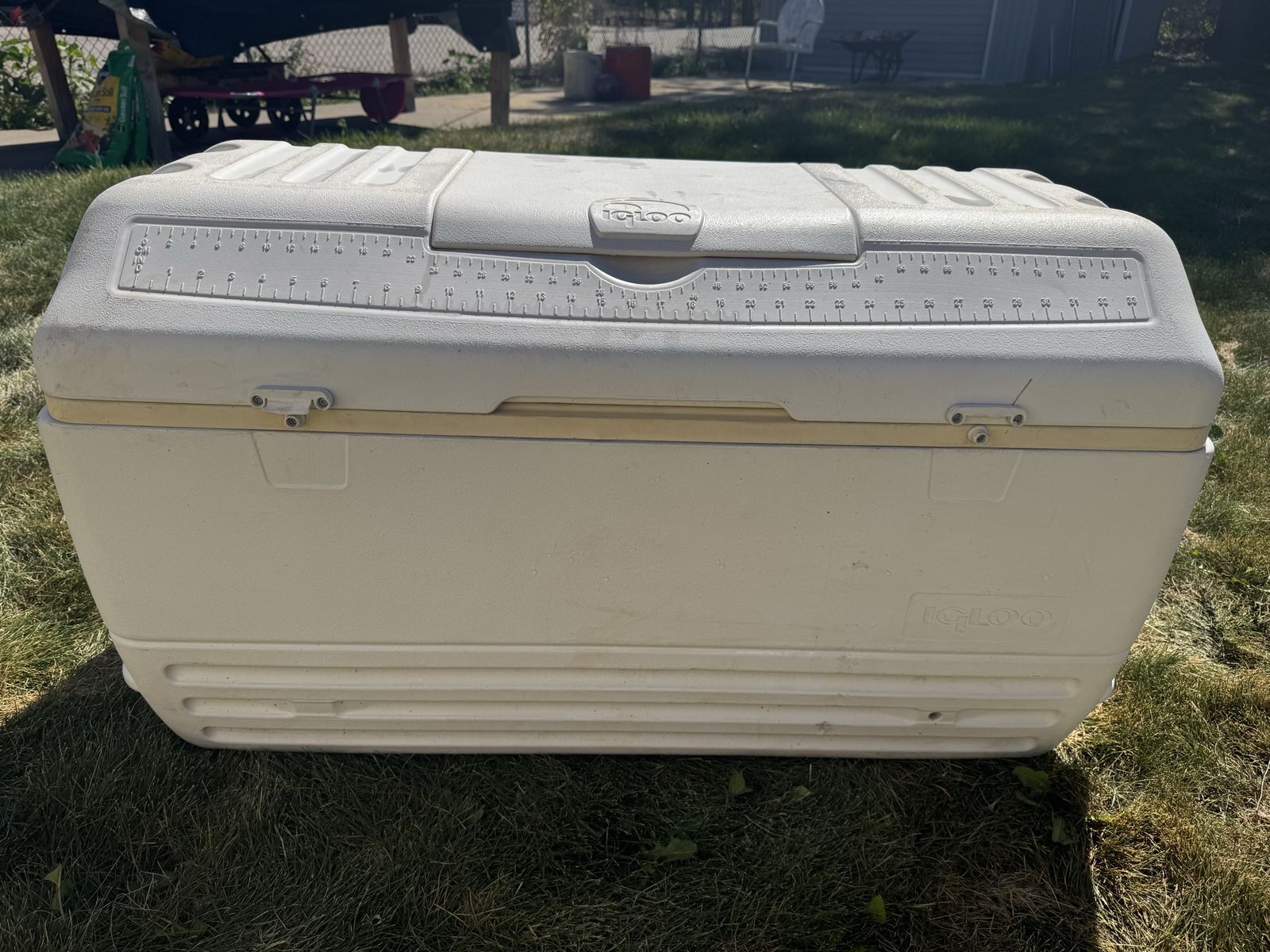 Huge 165-Quart Igloo Marine Cooler (Needs New Drain)