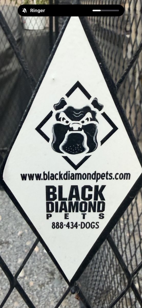 Diamond Dog Run