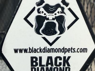 Diamond Dog Run