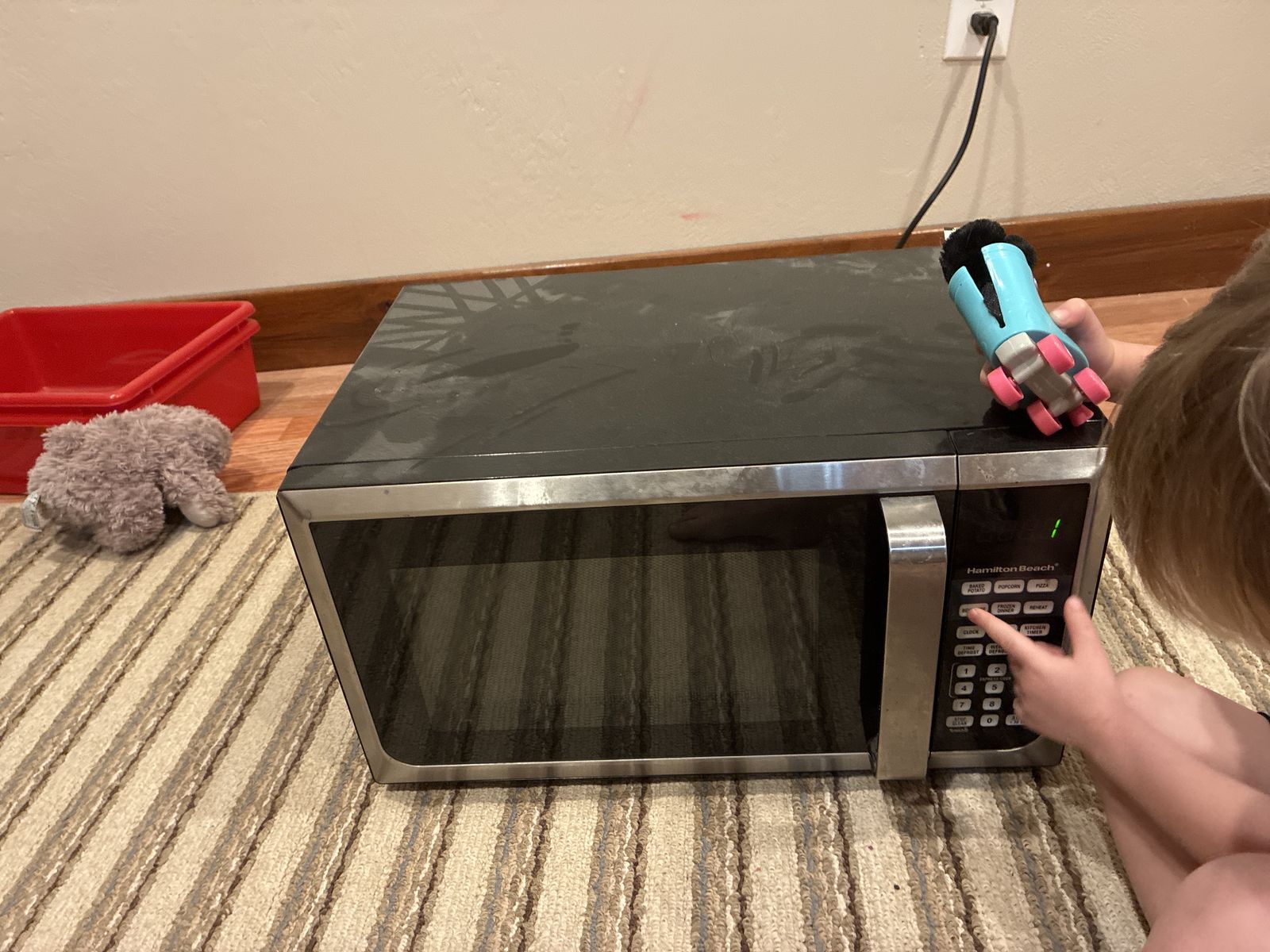 Microwave
