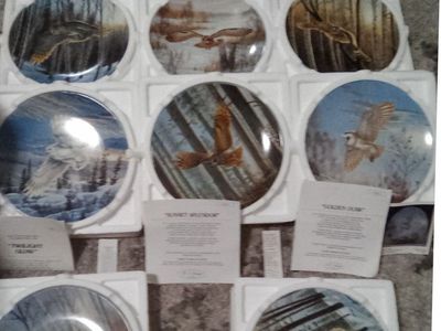 Decorative Collection off Owls Plates