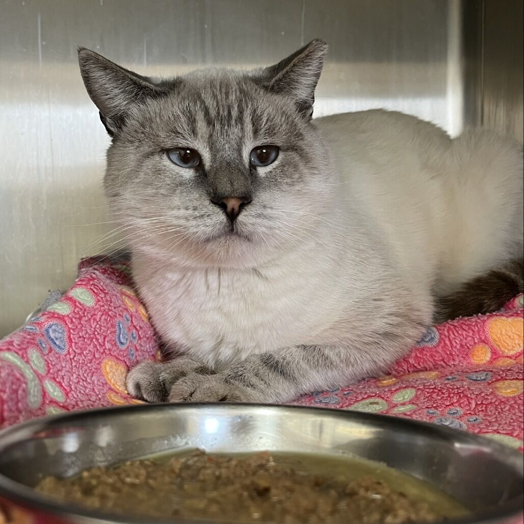 Hello my name is Travolta