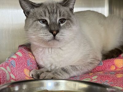 Hello my name is Travolta