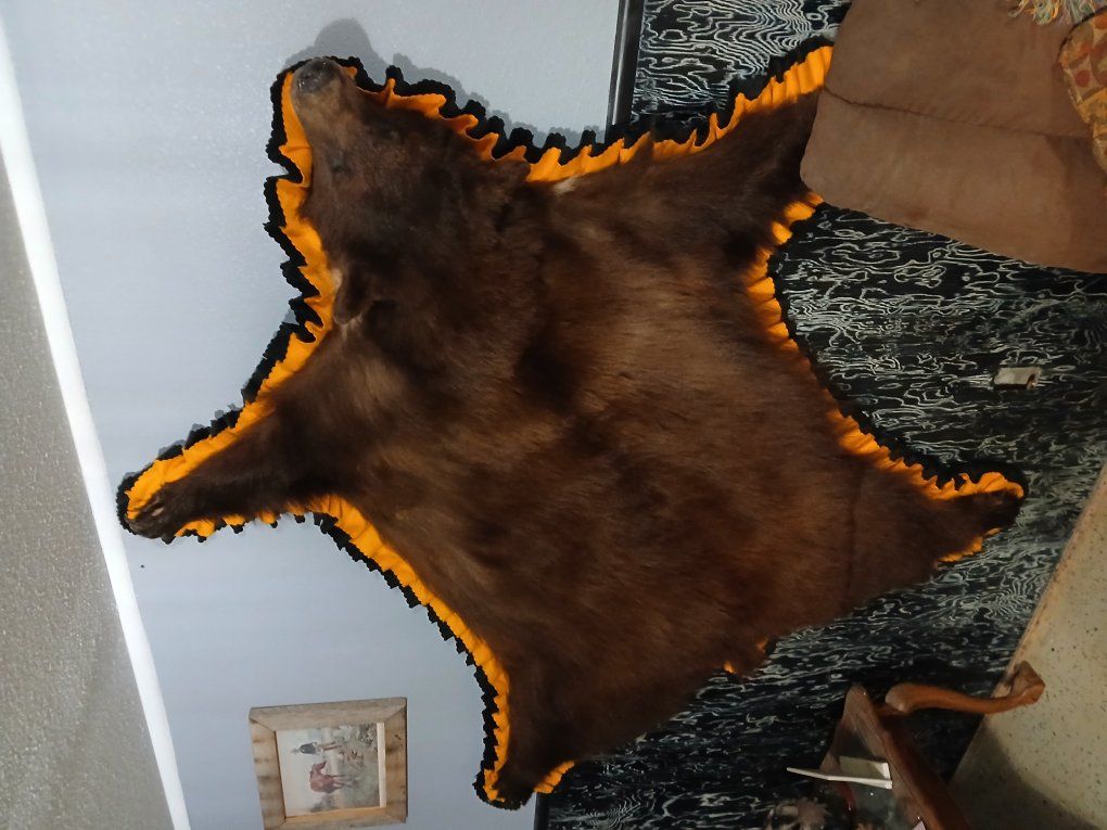 bear rugs
