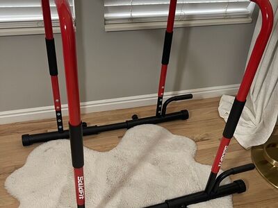 2-in-1 Dip Bar Workout Station - NEW!