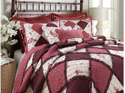 Cozy Queen SIzed Qulited Comforter & Sham Set