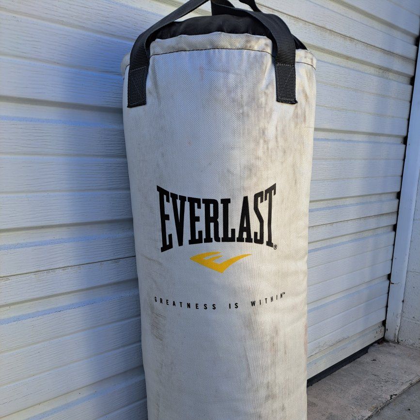 Everlast Puching Bag