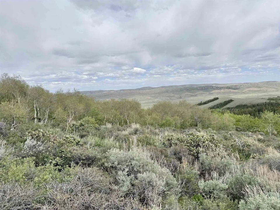 Main image 11