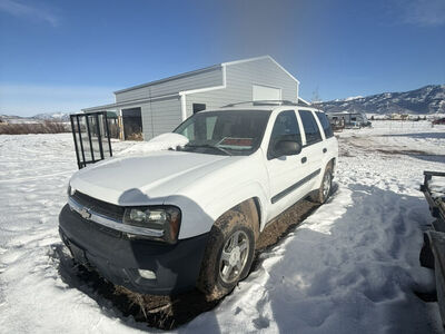 2002 CHEVROLET TRAILBLAZER LT