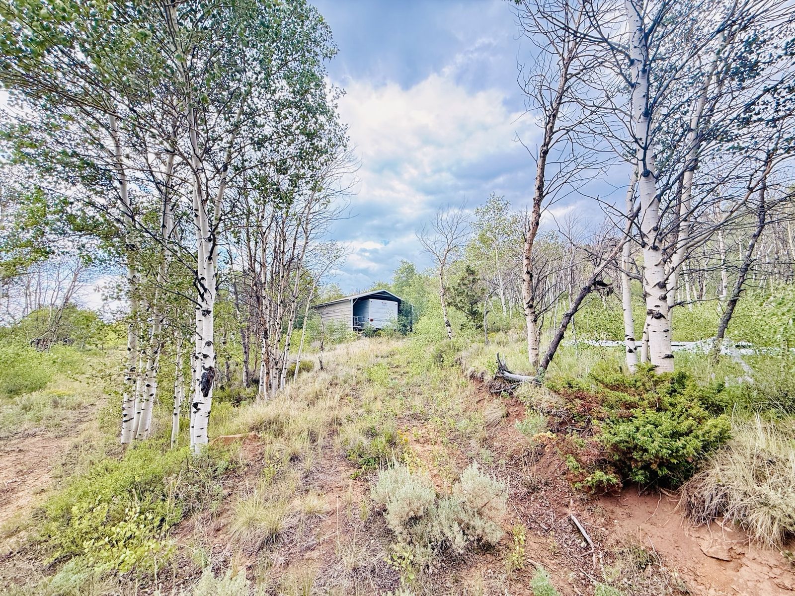 Main image 5