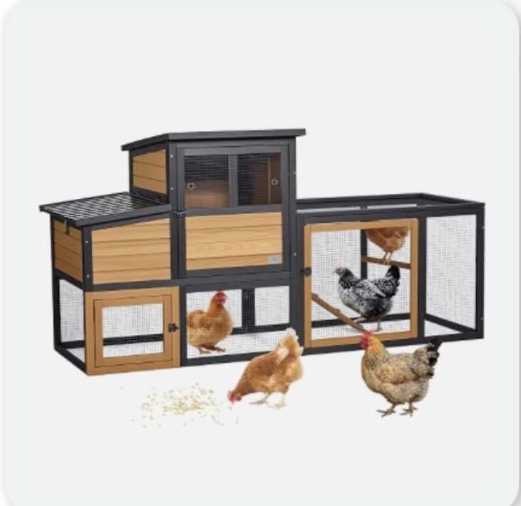 5 Chickens + Chicken Coop