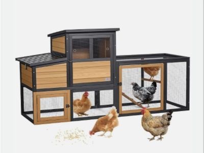 5 Chickens + Chicken Coop