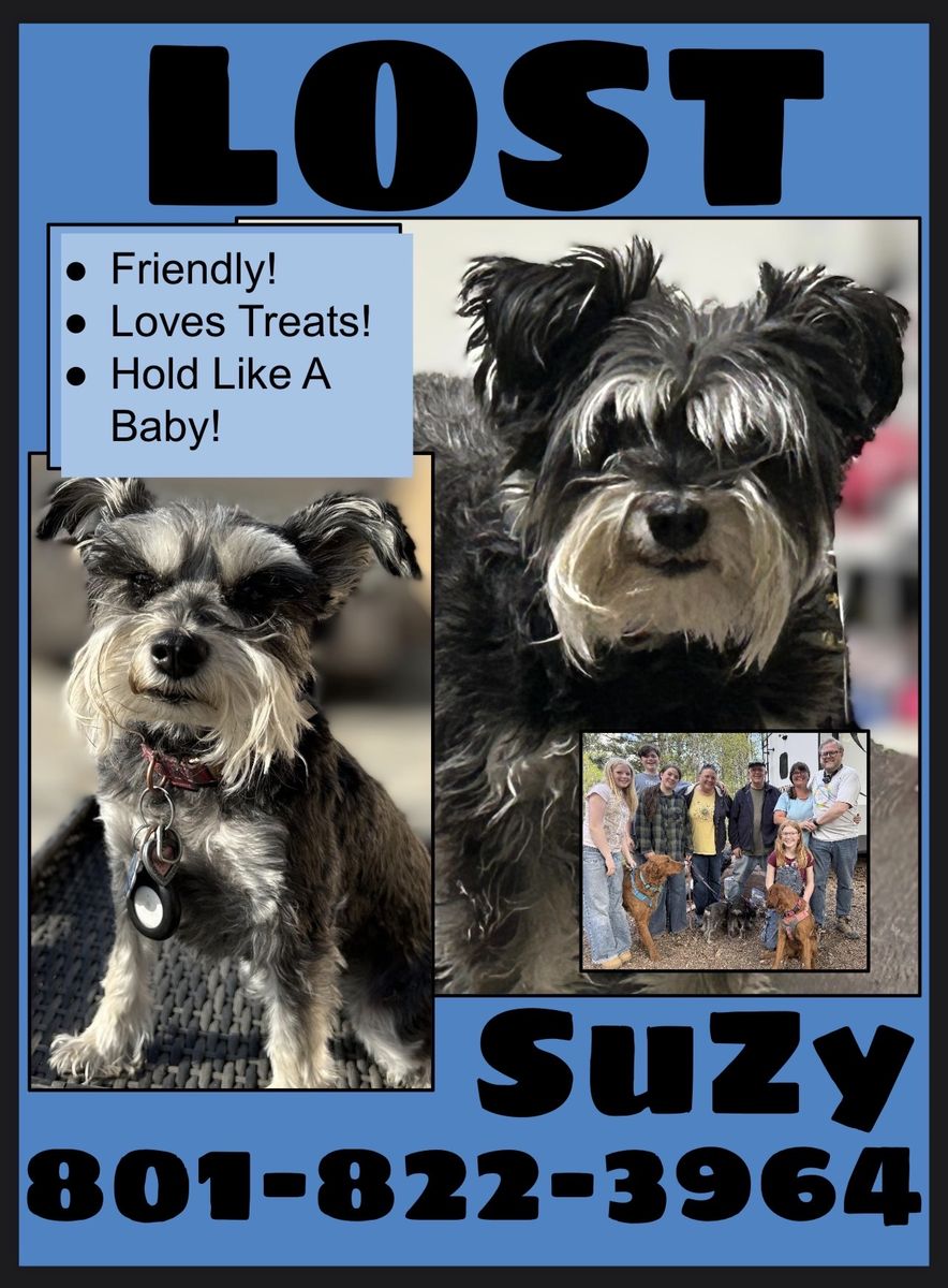 Lost Suzy