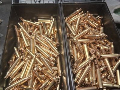 .220 Swift Brass