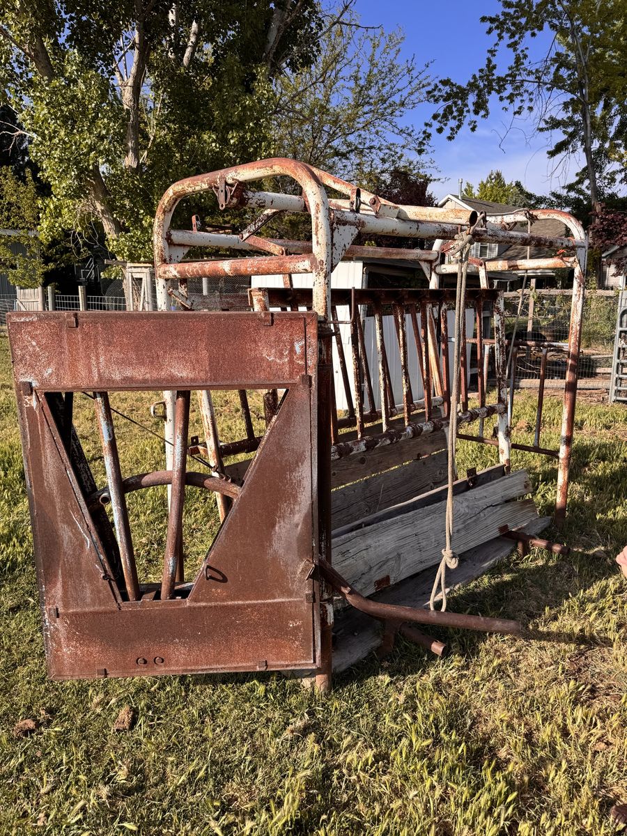 Cattle Chute