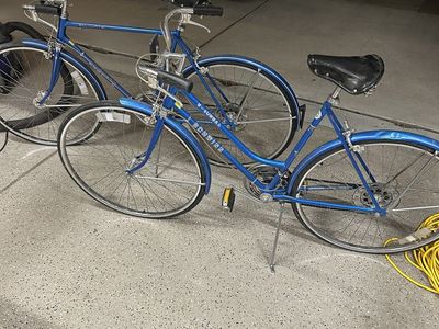Schwinn His and hers