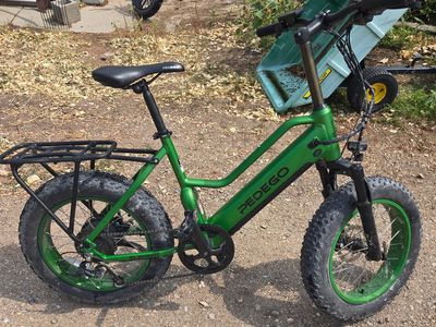 PEDEGO Element V2