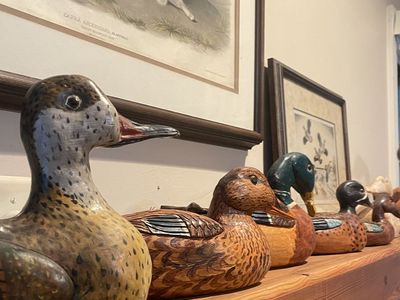 ESTATE SALE ~ PARK CITY, UTAH