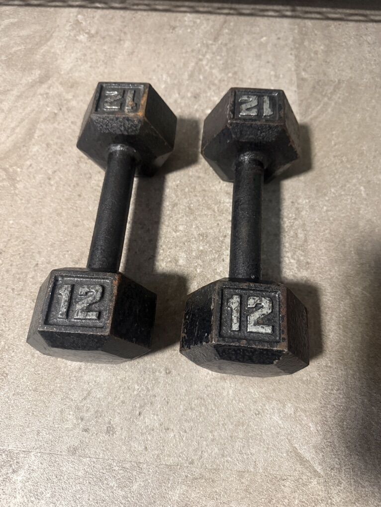 12lb Dumbbell Pair
