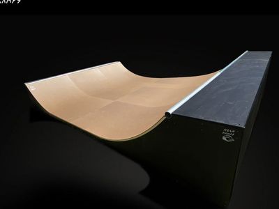 2.5' X 12' MINI HALF PIPE (skateboard ramp)