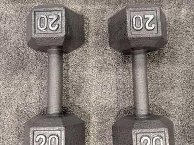 20 lb Weights