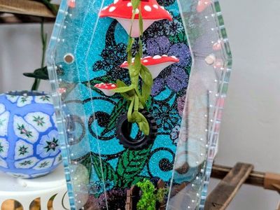Jumping spider enclosure, spider terrarium, spider house. No spider. Shipping available!