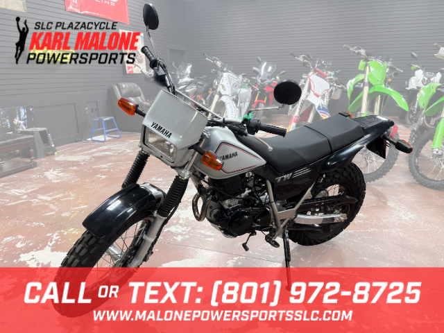 2026 Yamaha TW200 Gallant Gray - UY00638-C