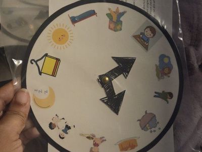 Children's Daily Routine Learning Spinner - Educational Toy