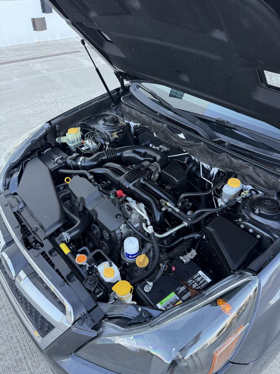 Main image 5