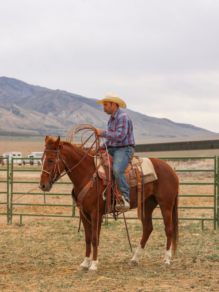 Daisy- 7yo AQHA Mare