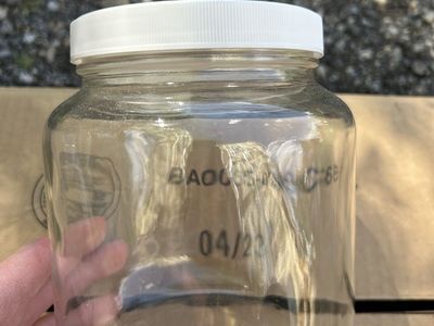 New Set Of 5 Wide Mouth Glass Jars W Lids