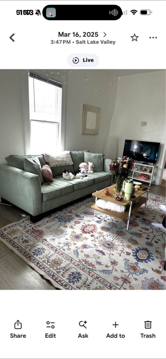 Main image 3