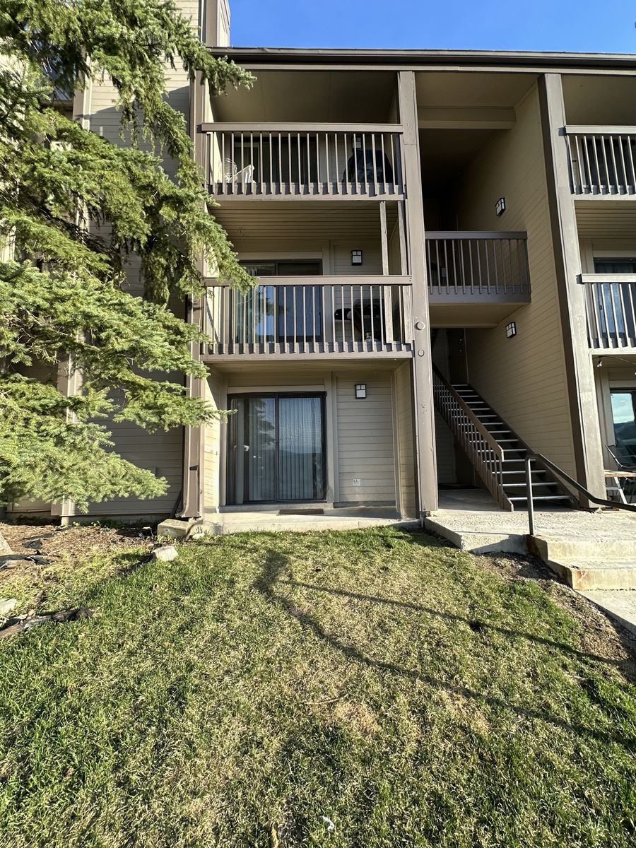 Looking For Male Roommate