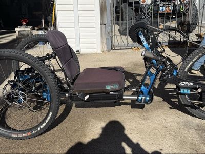 Bowhead Rogue Adaptive Mountain Bike